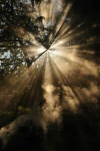 Somatic Therapies in Substance Use Recovery