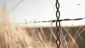 Colorado's Marijuana Culture